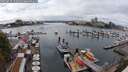 ./images/victoria/wharf/20250817/wharf20250817_143510M.jpg