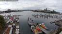 ./images/victoria/wharf/20250817/wharf20250817_144011M.jpg