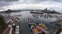 ./images/victoria/wharf/20250817/wharf20250817_152510M.jpg