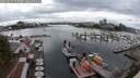 ./images/victoria/wharf/20250817/wharf20250817_155507M.jpg