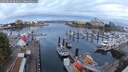 ./images/victoria/wharf/20250818/wharf20250818_063011M.jpg