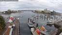 ./images/victoria/wharf/20250818/wharf20250818_084510M.jpg
