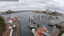 ./images/victoria/wharf/20250818/wharf20250818_085511M.jpg