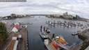 ./images/victoria/wharf/20250818/wharf20250818_094009M.jpg