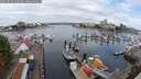 ./images/victoria/wharf/20250818/wharf20250818_100510M.jpg