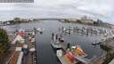 ./images/victoria/wharf/20250818/wharf20250818_101511M.jpg