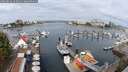 ./images/victoria/wharf/20250818/wharf20250818_103012M.jpg