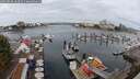 ./images/victoria/wharf/20250818/wharf20250818_103511M.jpg