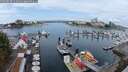 ./images/victoria/wharf/20250818/wharf20250818_111011M.jpg