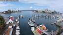 ./images/victoria/wharf/20250818/wharf20250818_111511M.jpg
