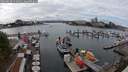 ./images/victoria/wharf/20250818/wharf20250818_144010M.jpg