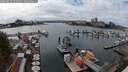 ./images/victoria/wharf/20250818/wharf20250818_151011M.jpg