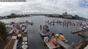 ./images/victoria/wharf/20250818/wharf20250818_152007M.jpg