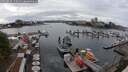 ./images/victoria/wharf/20250818/wharf20250818_155011M.jpg