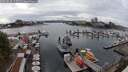 ./images/victoria/wharf/20250818/wharf20250818_155510M.jpg