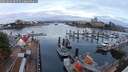 ./images/victoria/wharf/20250819/wharf20250819_061508M.jpg