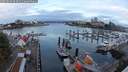 ./images/victoria/wharf/20250819/wharf20250819_063510M.jpg