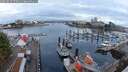 ./images/victoria/wharf/20250819/wharf20250819_075010M.jpg