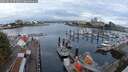 ./images/victoria/wharf/20250819/wharf20250819_075510M.jpg
