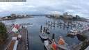./images/victoria/wharf/20250819/wharf20250819_080012M.jpg