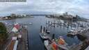 ./images/victoria/wharf/20250819/wharf20250819_083511M.jpg