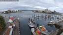 ./images/victoria/wharf/20250819/wharf20250819_085011M.jpg