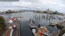 ./images/victoria/wharf/20250819/wharf20250819_091010M.jpg