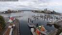 ./images/victoria/wharf/20250819/wharf20250819_091511M.jpg