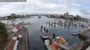 ./images/victoria/wharf/20250819/wharf20250819_094511M.jpg