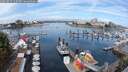 ./images/victoria/wharf/20250819/wharf20250819_110507M.jpg