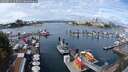 ./images/victoria/wharf/20250819/wharf20250819_123011M.jpg