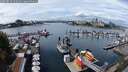 ./images/victoria/wharf/20250819/wharf20250819_132512M.jpg