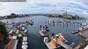 ./images/victoria/wharf/20250819/wharf20250819_135010M.jpg