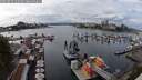 ./images/victoria/wharf/20250819/wharf20250819_145010M.jpg