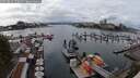 ./images/victoria/wharf/20250819/wharf20250819_150011M.jpg