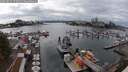 ./images/victoria/wharf/20250819/wharf20250819_155010M.jpg