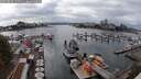 ./images/victoria/wharf/20250819/wharf20250819_155510M.jpg