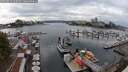 ./images/victoria/wharf/20250819/wharf20250819_160508M.jpg