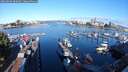 ./images/victoria/wharf/20250820/wharf20250820_082008M.jpg