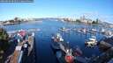 ./images/victoria/wharf/20250820/wharf20250820_083510M.jpg