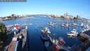 ./images/victoria/wharf/20250820/wharf20250820_084511M.jpg