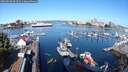 ./images/victoria/wharf/20250820/wharf20250820_094511M.jpg