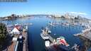 ./images/victoria/wharf/20250820/wharf20250820_101511M.jpg