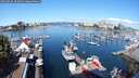 ./images/victoria/wharf/20250820/wharf20250820_102514M.jpg