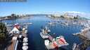 ./images/victoria/wharf/20250820/wharf20250820_103509M.jpg