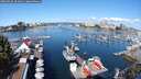 ./images/victoria/wharf/20250820/wharf20250820_104011M.jpg