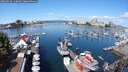 ./images/victoria/wharf/20250820/wharf20250820_110011M.jpg