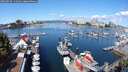 ./images/victoria/wharf/20250820/wharf20250820_111009M.jpg