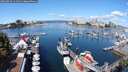 ./images/victoria/wharf/20250820/wharf20250820_111510M.jpg