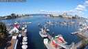 ./images/victoria/wharf/20250820/wharf20250820_112513M.jpg